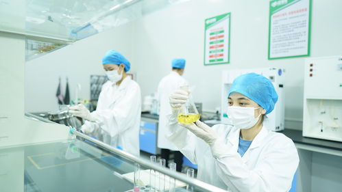 疆果果健康食品研究院獲評自治區級企業技術中心，引領健康食品產業創新發展