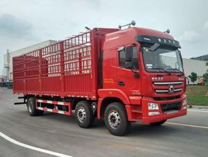 倉柵式8-9.6米載貨車全解析 圖片、參數(shù)、對(duì)比與報(bào)價(jià)指南