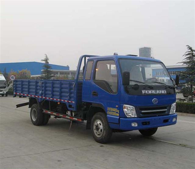 福田載貨汽車 中國物流運(yùn)輸?shù)闹袌?jiān)力量